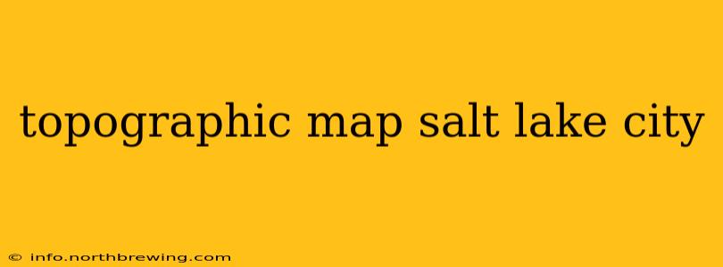 topographic map salt lake city