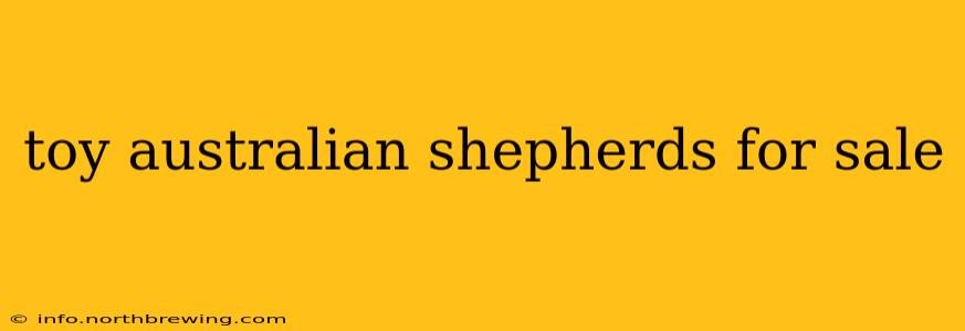 toy australian shepherds for sale