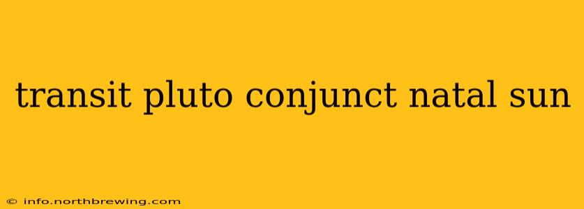 transit pluto conjunct natal sun
