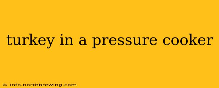 turkey in a pressure cooker