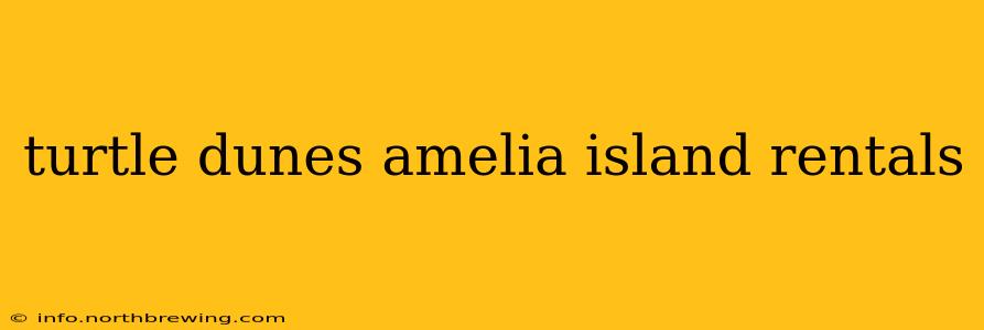 turtle dunes amelia island rentals