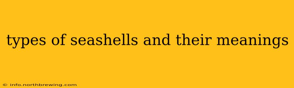 types of seashells and their meanings