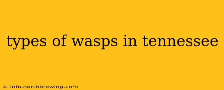 types of wasps in tennessee