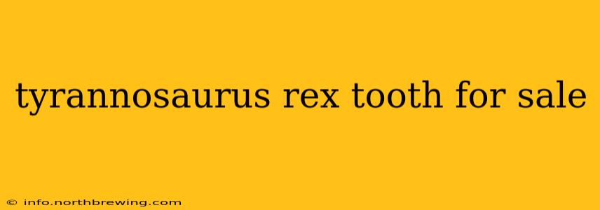 tyrannosaurus rex tooth for sale