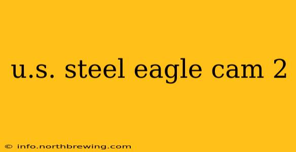 u.s. steel eagle cam 2