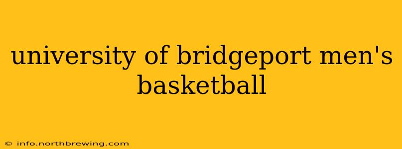 university of bridgeport men's basketball