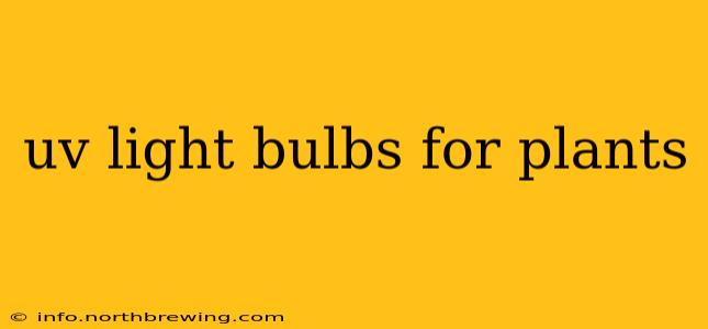 uv light bulbs for plants