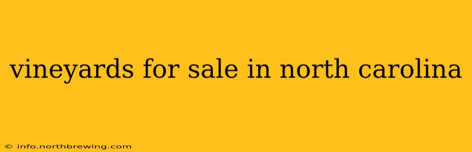 vineyards for sale in north carolina