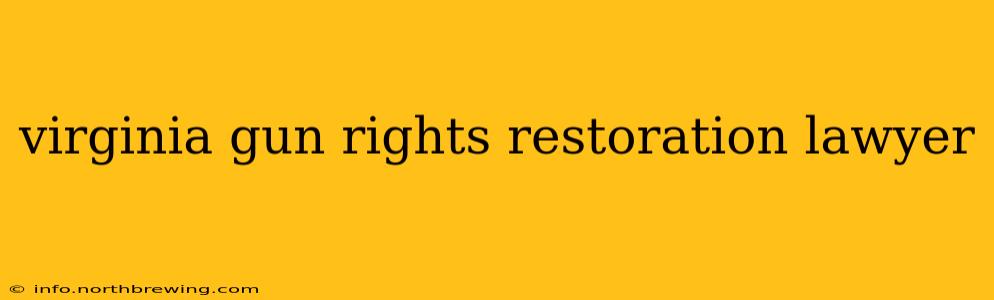 virginia gun rights restoration lawyer
