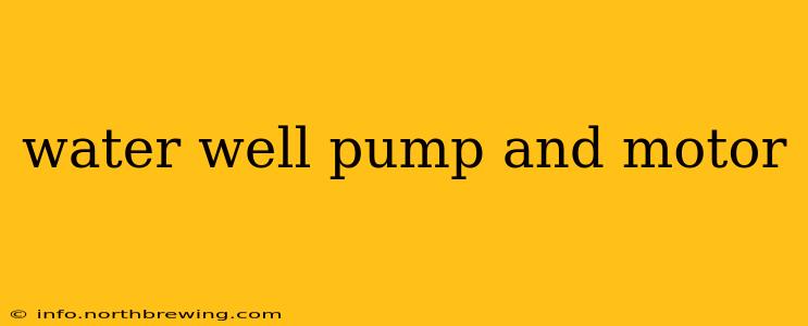 water well pump and motor