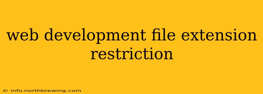 web development file extension restriction