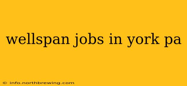 wellspan jobs in york pa