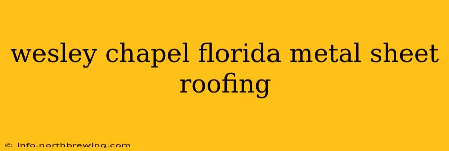 wesley chapel florida metal sheet roofing
