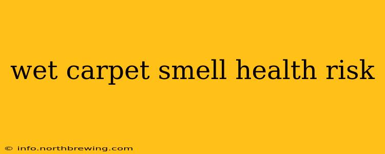 wet carpet smell health risk