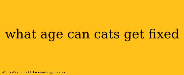 what age can cats get fixed