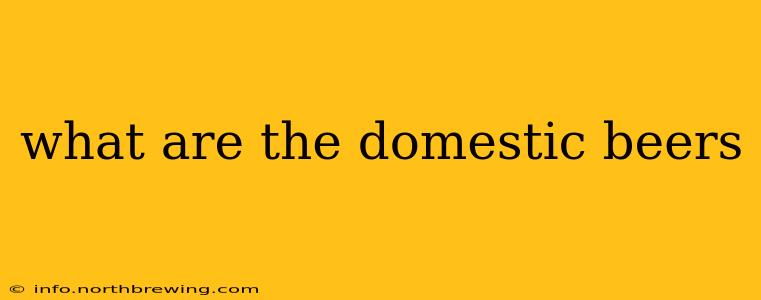 what are the domestic beers