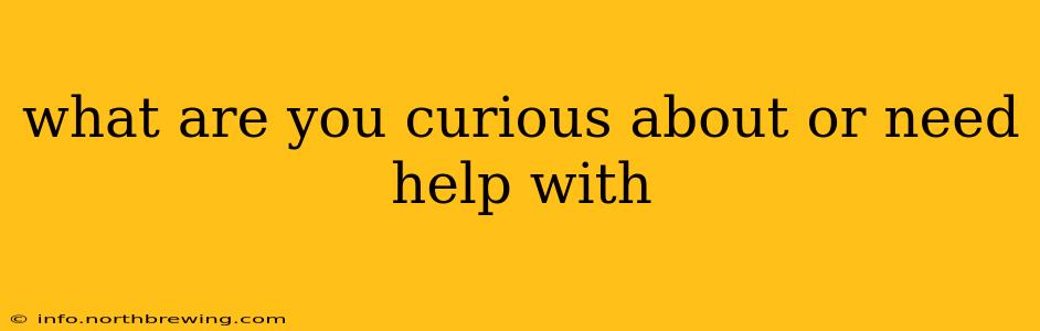 what are you curious about or need help with