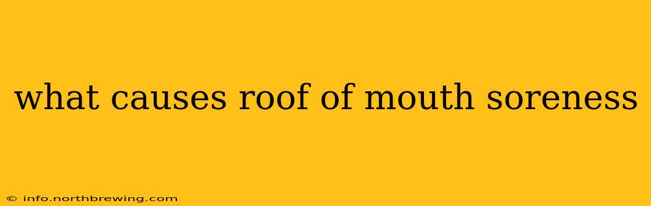 what causes roof of mouth soreness