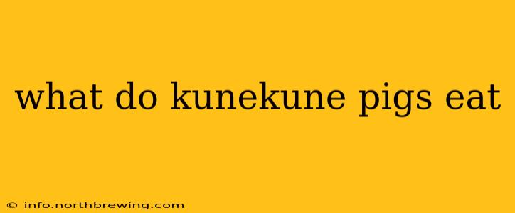 what do kunekune pigs eat