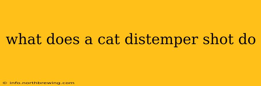 what does a cat distemper shot do