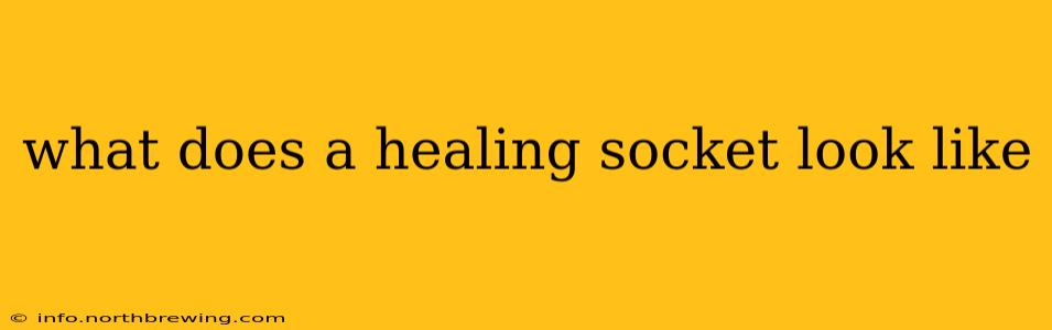 what does a healing socket look like