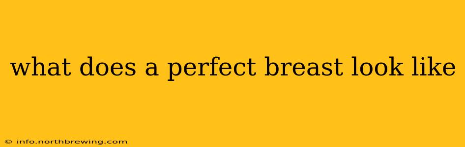 what does a perfect breast look like