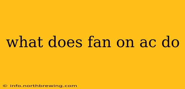 what does fan on ac do
