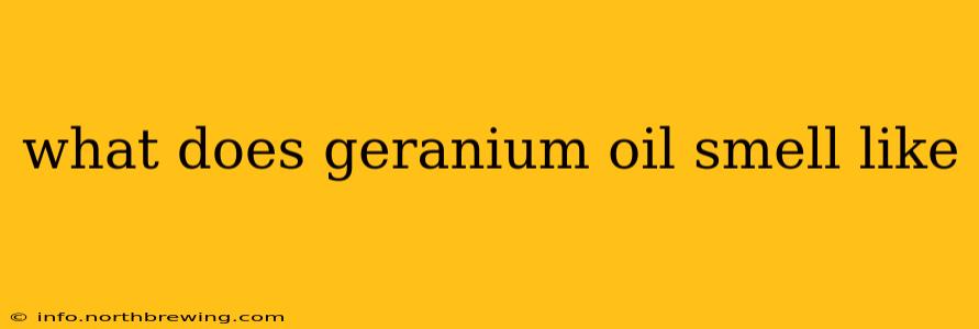 what does geranium oil smell like
