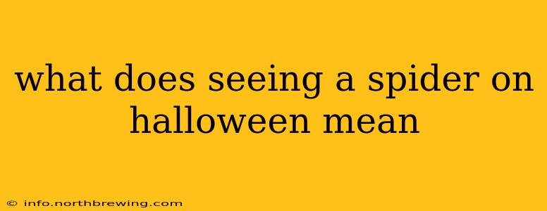 what does seeing a spider on halloween mean