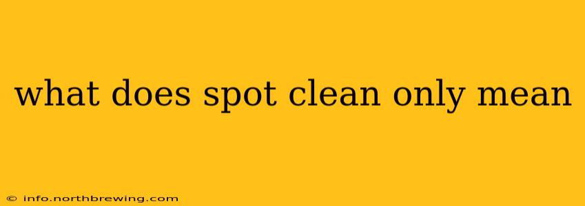what does spot clean only mean