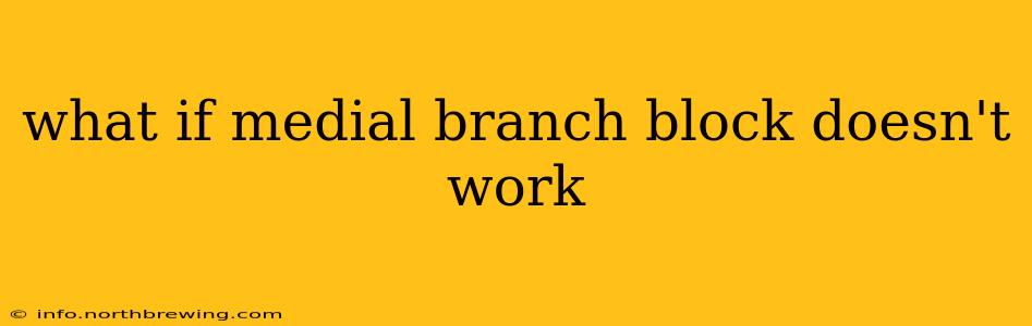what if medial branch block doesn't work