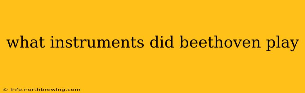 what instruments did beethoven play