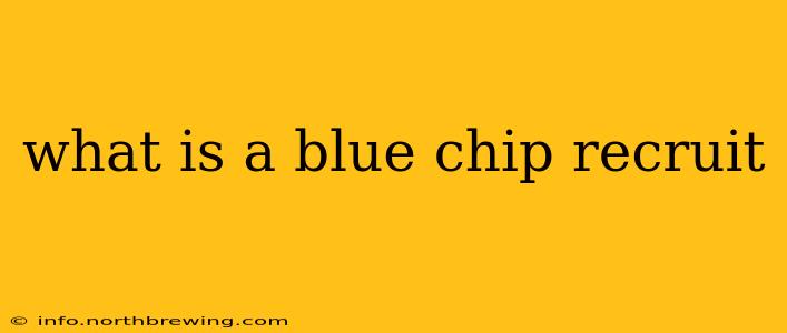what is a blue chip recruit