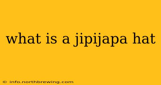 what is a jipijapa hat