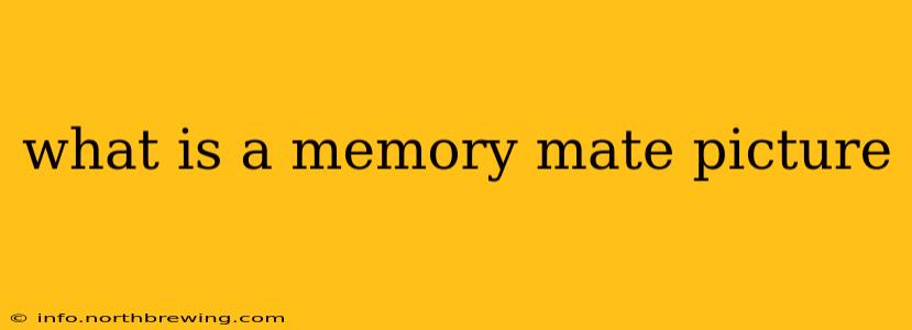 what is a memory mate picture