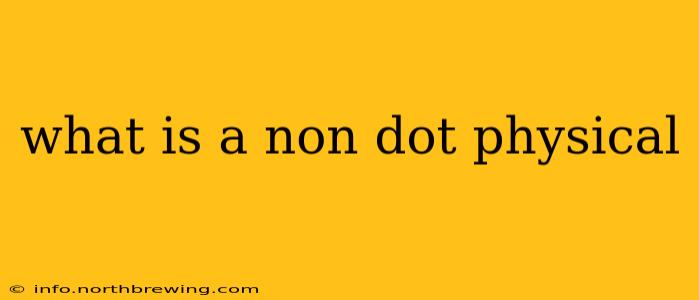 what is a non dot physical