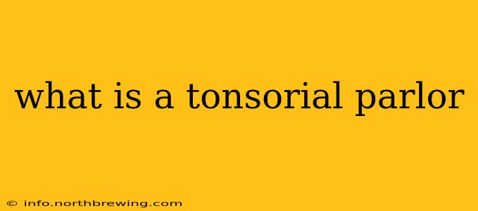 what is a tonsorial parlor