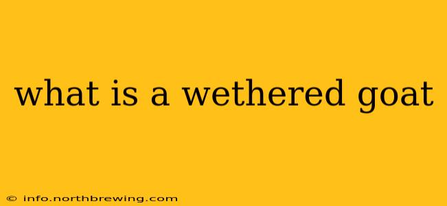 what is a wethered goat