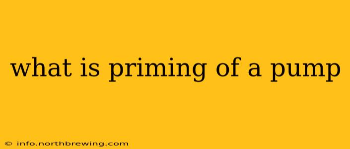 what is priming of a pump