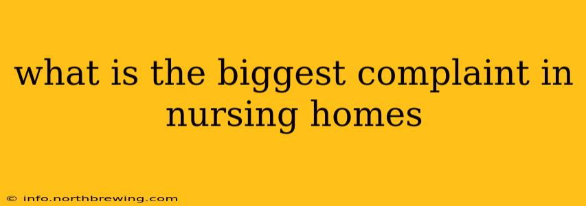 what is the biggest complaint in nursing homes