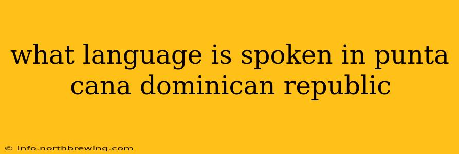 what language is spoken in punta cana dominican republic