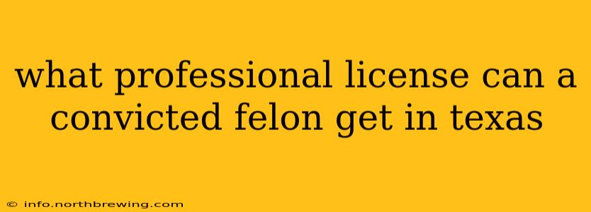 what professional license can a convicted felon get in texas