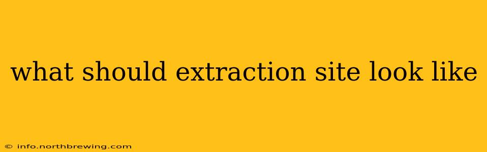 what should extraction site look like