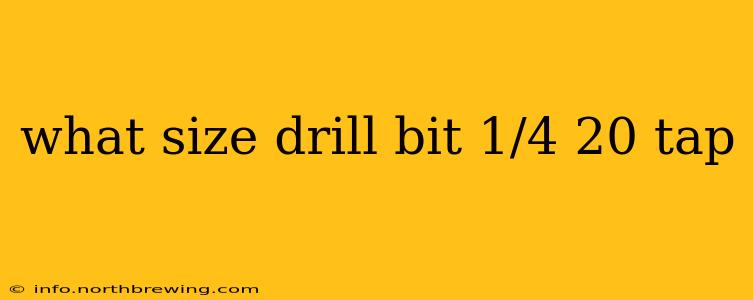 what size drill bit 1/4 20 tap
