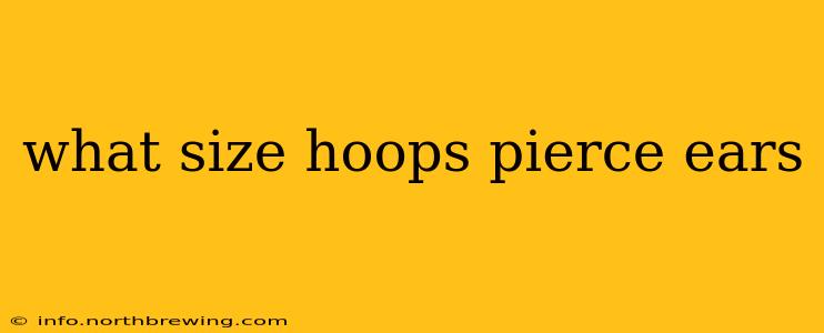 what size hoops pierce ears
