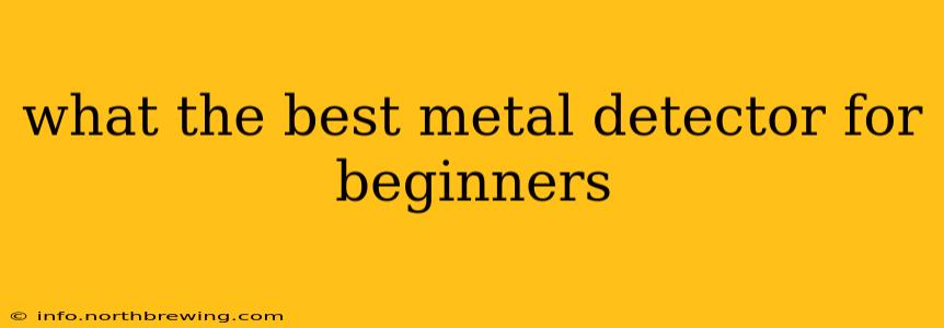 what the best metal detector for beginners