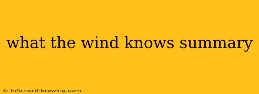 what the wind knows summary