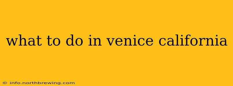 what to do in venice california