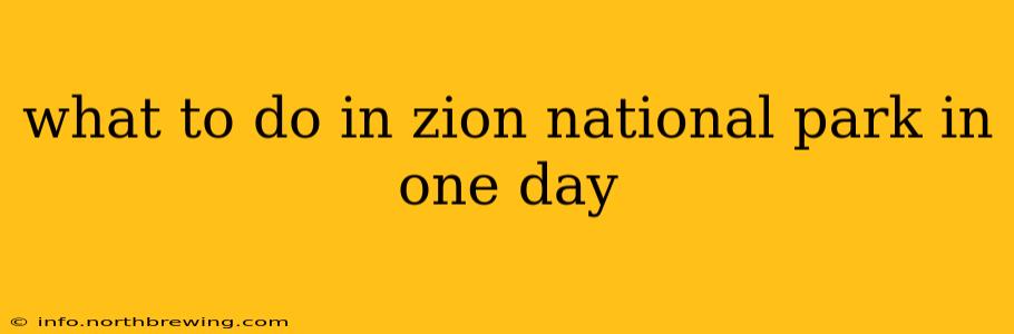 what to do in zion national park in one day