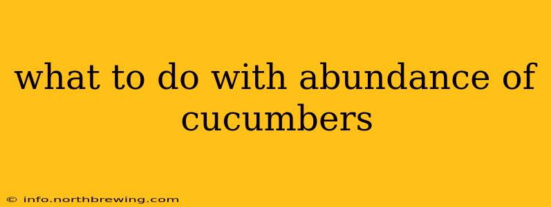 what to do with abundance of cucumbers